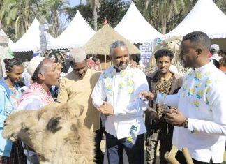 “ባሕልን በበጎ እና በአግባቡ ከተጠቀምንበት ለመንፈስ መታደስ እና ለአብሮነት ትልቅ አስተዋጽኦ አለው” ከንቲባ አዳነች አቤቤ