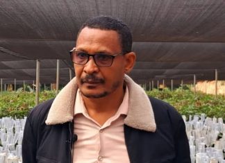 ለአረንጓዴ አሻራ መርሐ ግብር 1 ነጥብ 3 ሚሊዮን የአትክልትና ፍራፍሬ ችግኞች ማዘጋጀቱን የምዕራብ ጎጃም ዞን ገለጸ።