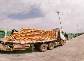 ከ600ሺህ በላይ ሜትሪክ ቶን የአፈር ማዳበሪያ ወደ ሀገር ውስጥ መጓጓዙ ተገለጸ።