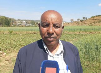 የበጋ መስኖ ስንዴ ልማት በኑሯቸው ላይ ለውጥ እንዲመጣ ማድረጉን አርሶ አደሮች ተናገሩ።