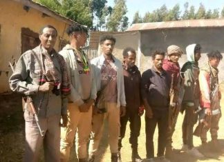 በጫካ የነበሩ ታጣቂዎች የሰላም አማራጭን ተቀበሉ።