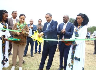 የተሠሩ የልማት ሥራዎች በችግርም ውስጥ ኾኖ መሥራት እንደሚቻል ያሳዩ መኾናቸውን አፈጉባዔ ፋንቱ ተስፋዬ ገለጹ።