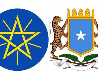 በፊልድ ማርሻል ብርሃኑ ጁላ የተመራ ልዑክ በሶማሊያ የሥራ ጉብኝት አደረገ።