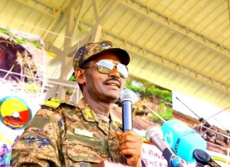 “የሠራዊቱን አቅም የማሳደግና ፕሮፌሽናል ሠራዊት የመገንባት ሥራ ተጠናክሮ ይቀጥላል” ፊልድ ማርሻል ብርሀኑ ጁላ