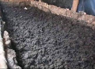 በምርት ዘመኑ ከ200 ሺህ ሄክታር በላይ መሬት በተፈጥሮ ማዳበሪያ እንደሚሸፈን የሰሜን ሸዋ ዞን አስታወቀ።