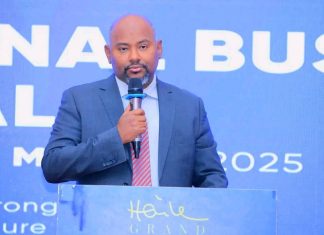 የኢኖቬሽን እና ቴክኖሎጂ ሚኒስቴር ለሦስት ከተሞች የቢዝነስ ፖርታሎችን አስመረቀ።