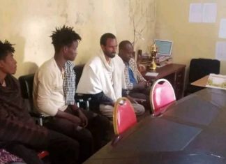 በጫካ ሲንቀሰቀሱ የነበሩ ታጣቂዎች የሰላም አማራጭን ተቀበሉ።