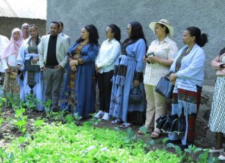 ዓለም አቀፍ የሴቶች ቀን በደሴ ከተማ በተለያዩ ዝግጅቶች እየተከበረ ነው።