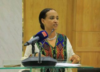 የሕዝብ ውክልናን ለመወጣት የሚደረጉ ጥረቶች ተጠናክረው እንዲቀጥሉ አፈ ጉባኤ ፋንቱ ተስፋዬ አሳሰቡ።