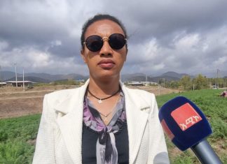 በኮምቦልቻ ከተማ አሥተዳደር የከተማ ግብርና የሴቶችን ተጠቃሚነት እያሳደገ መኾኑ ተገለጸ።