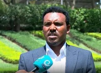 የቱሪዝም ዘርፉን ለማነቃቃት እየተደረገ ባለው እንቅስቃሴ የጎብኝዎች ፍሰት እና ከዘርፉ የተገኘው ገቢ መጨመሩ ተገለጸ።