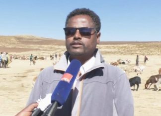 “የተሻሻሉ የእንስሳት ዝርያዎችን ለአርሶ አደሮች በማቅረብ ተጠቃሚነታቸውን ማሳደግ ተችሏል” ወሎ ዩኒቨርሲቲ