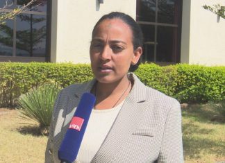 ከ15 ሺህ በላይ ለሚኾኑ ወጣቶች የሥራ እድል ተፈጥሯል።