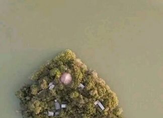 የጣና ሐይቅ ብዝኃ ሕይዎትን በቅንጅት በመጠበቅ አዎንታዊ ለውጥ ማምጣቱን የጣና ሐይቅ እና ሌሎች ውኃማ አካላት ጥበቃ እና ልማት ኤጀንሲ ገለጸ።