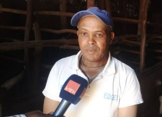 የሌማት ትሩፋት ሥራ አዋጭ መኾኑን ወጣቶች ተናገሩ።