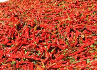 በማዕከላዊ ጎንደር ዞን ከ226 ሺህ ኩንታል በላይ የቅመማ ቅመም ምርት ተገኝቷል።