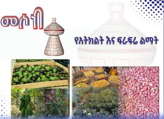አትክልት እና ፍራፍሬ ልማት