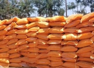 ሰው ሠራሽ ማዳበሪያን ለአርሶ አደሮች በወቅቱ እና በፍትሐዊነት ለማድረስ ጥረት እየተደረገ ነው።