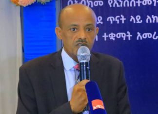 የአማራ ክልል መንግሥት የልማት ድርጅቶችን በኢንቨስትመንት ሆልዲንግ ሊያቋቁም ነው።