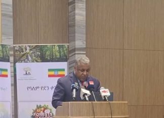 በ2017 ዓ.ም ከ7 ነጥብ 5 ቢሊዮን በላይ ችግኝ ለመትከል ታቅዷል።