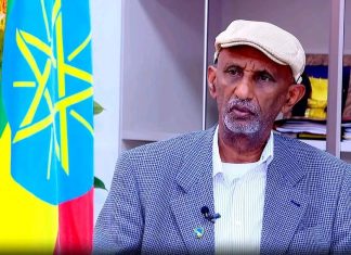 “የሕዳሴ ግድቡ ሁሉንም ለአንድ ዓላማ ያሰለፈ ሀገር የምትኮራበት ግዙፍ ፕሮጀክት ነው” አረጋዊ በርሄ (ዶ.ር)