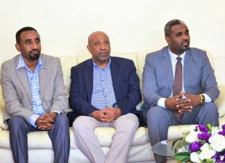 ፕሮፌሰር ብርሃኑ ነጋ በአማራ ክልል የትምህርት ንቅናቄ ላይ ለመሳተፍ ባሕር ዳር ከተማ ገቡ።