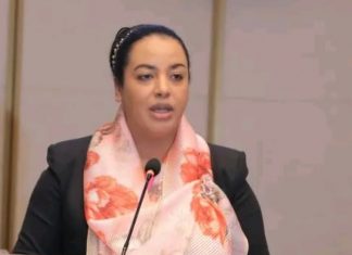 ኢትዮጵያ ለመጀመሪያ ጊዜ የሚካሄደውን አህጉር አቀፍ የፓን አፍሪካ ወጣት መሪዎች ጉባኤ ታስተናግዳለች።