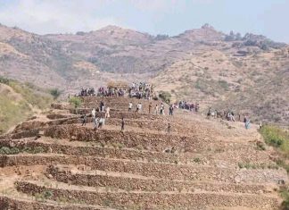 የተፋሰስ ልማት በአማራ ክልል