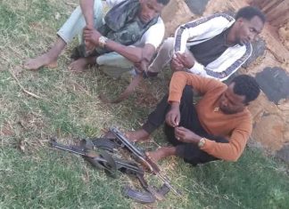 ጀግኒት ከሌላት ላይ ሊቀሟት የመጡ ሕገ ወጦችን በሕግ እጅ ላይ ጣለቻቸው።