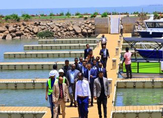 ለጣና ፎረም የቅድመ ዝግጅት ሥራዎች ውይይት ባሕር ዳር የተገኙት የውጭ ጉዳይ ሚኒስትር ጌዲዮን ጢሞቴዎስ (ዶ.ር) የከተማዋን የልማት ሥራዎችን ጎበኙ።