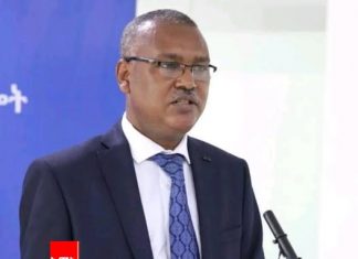 “መጋቢት 24 ኢትዮጵያ በታሪኳ ያልተሞከረውን አዲስ መንገድ የጀመረችበት ቀን ነው” ለገሰ ቱሉ (ዶ.ር)