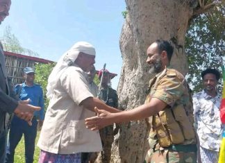 በአማራ ክልል ኦሮሞ ብሔረሰብ አሥተዳደር የመንግሥትን የሰላም ጥሪ የተቀበሉ ታጣቂዎች አቀባበል ተደረገላቸው።