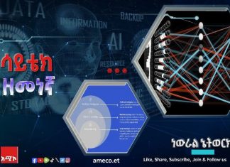 ነውራል ኔትወርክ (የነርቭ አውታር መረብ) ምንድን ነው?