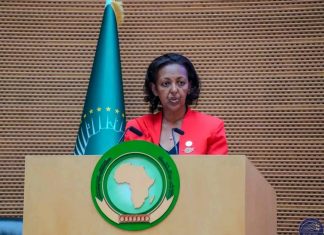 “የአፍሪካ ኅብረት ችግሮች ከመከሰታቸው አስቀድሞ ጥበብ የተሞላበት አመራር መስጠት አለበት” አምባሳደር ኂሩት ዘመነ