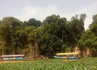 መጤ እና ወራሪ አረሞች የግብርናው ዘርፍ ፈተና ኾነዋል።