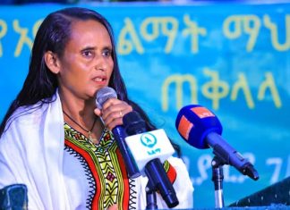 “አልማ የመተባበርን እና የአንድነትን ፋይዳ በተግባር ገልጦ ያሳየ ማኅበር ነው” ሙሉነሽ ደሴ (ዶ.ር)