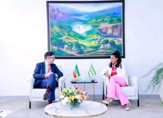 “ቴሌብር ለአካታች እና ተደራሽ የዲጂታል ኢኮኖሚ ግንባታ ቁልፍ ሚና እየተጫወተ ነው” ፍሬሕይወት ታምሩ