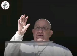 ሊቀ ጳጳስ ፖፕ ፍራንሲስ አረፉ።