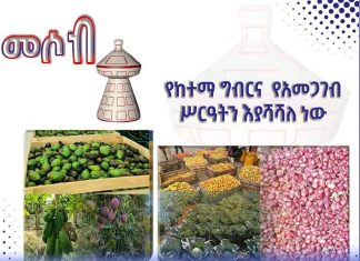 የከተማ ግብርና የአመጋገብ ሥርዓትን እያሻሻለ ነው።
