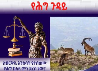 ለብርቅዬ እንስሳት የተሰጠው የሕግ ከለላ ምን ድረስ ነው?