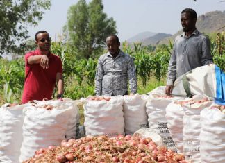 ዜጎችን ከተረጅነት ወደ ምርታማነት ማሸጋገር መቻሉን የሐረሪ ክልል ግብርና ቢሮ አስታወቀ።