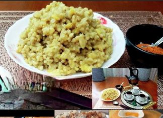 ጉልባን ለምን?