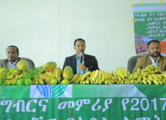 በደቡብ ወሎ ዞን በምርት ዘመኑ ከ15 ነጥብ 1 ሚሊዮን ኩንታል በላይ ምርት ለማምረት ታቅዷል።