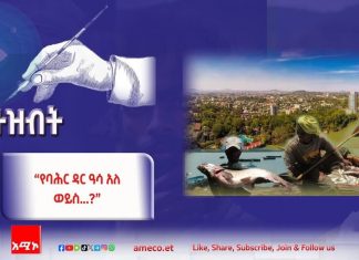 “የባሕር ዳር ዓሳ አለ…ወይስ?”