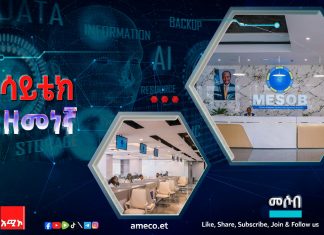 “መሶብ” የአንድ ማዕከል አገልግሎት