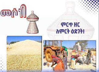 “የዘር አቅርቦት ችግር አይኖርም”