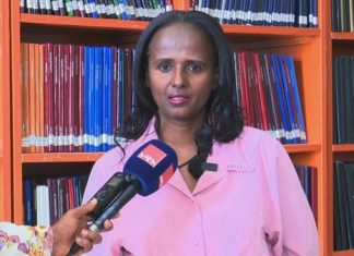 ከ1 ሺህ 300 በላይ ተማሪዎች የከፍተኛ ትምህርት መግቢያ ፈተናን በበይነ መረብ እንደሚወስዱ የደብረ ብርሃን ከተማ አሥተዳደር ገለጸ።