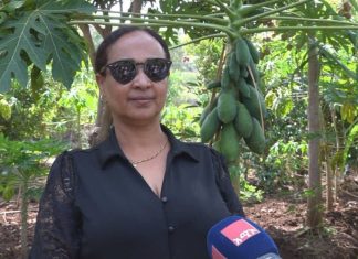 የሴቶች ልማት ኅብረት አደረጃጀት የሴቶችን ተጠቃሚነት በማረጋገጥ በኩል ተሞክሮ የሚኾን ሥራ ሠርቷል።