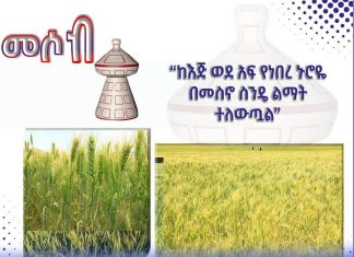 “ከእጅ ወደ አፍ የነበረ ኑሮየ በመስኖ ስንዴ ልማት ተለውጧል” አርሶ አደር