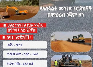 በምዕራብ ጎጃም ዞን የአስፋልት መንገድ ፕሮጀክቶች፦